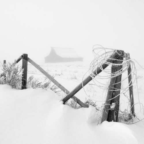 1151265 - Mormon barn, fence